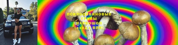 прущие крисы Каменка
