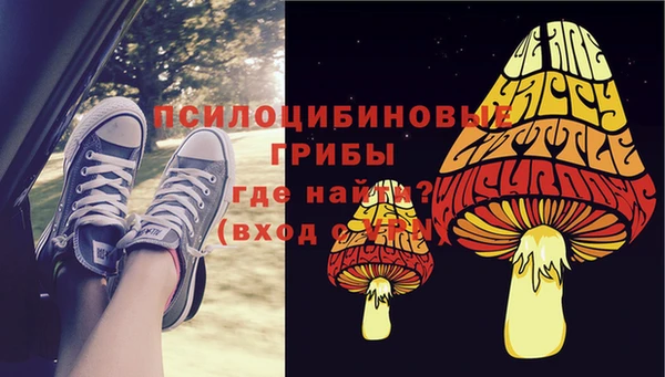 дживик Каменск-Шахтинский