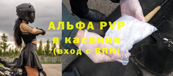 прущие крисы Каменка