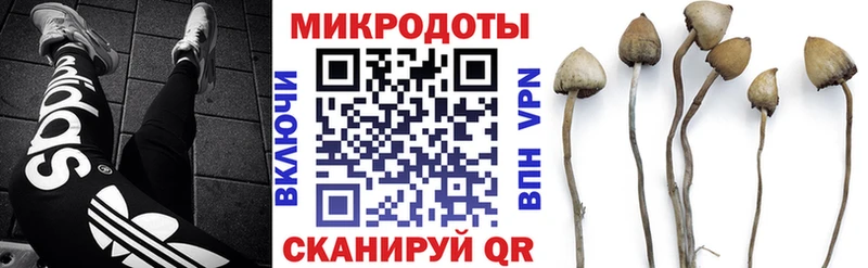 Галлюциногенные грибы мицелий  shop состав  Котельники 