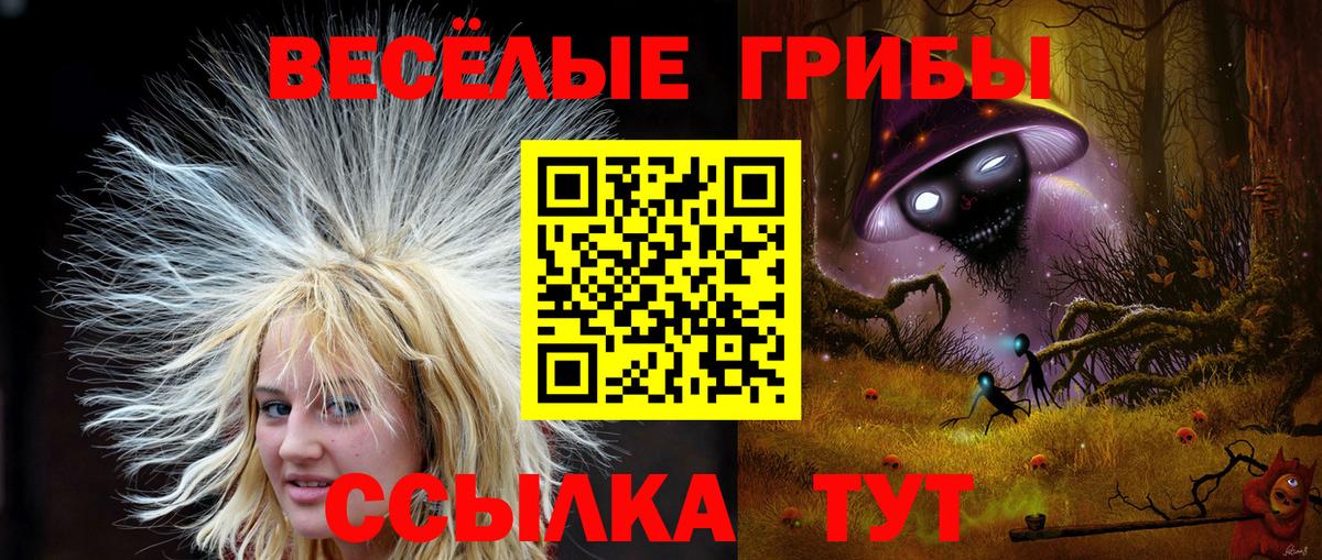 Галлюциногенные грибы мицелий  Вход с VPN  Псилоцибиновые грибы мицелий  купить  сайты  Котельники 
