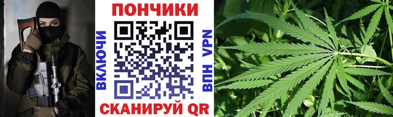 Бошки Шишки конопля Котельники